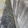 大田区で駐車場まわりの草刈り・除草作業