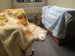IMG_9883.jpeg