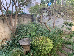 a634456c-719b-4195-b570-668e857c8c0f.jpg